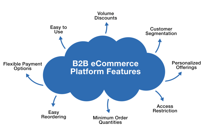B2b ecommerce platform features solutions