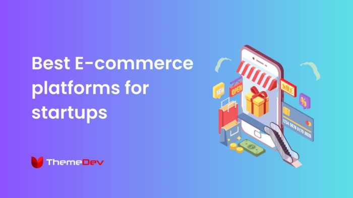 Ecommerce commerce provide hosting companies integrations ease