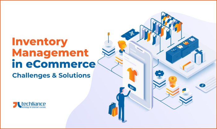 Inventory management ecommerce software business scale help access source seamless customer solutions experience create