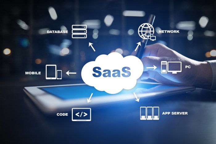 Saas ecommerce customizable fully pinnaclecart